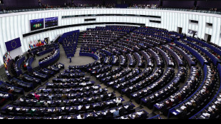 Tre grandi partiti Ue chiedono lo stop all'accordo sui dazi con Usa