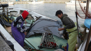 Cinco cuerpos encontrados en el mar tras el accidente de una aeronave estadounidense en Japón
