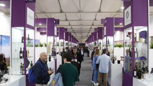 Domani a Verona si apre il 58/o Vinitaly alla presenza di 5 ministri