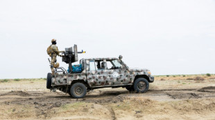 Nigerianische Luftwaffe meldet T&ouml;tung von mehr als 35 Dschihadisten nahe Kamerun