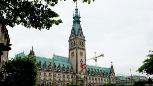 AfD-Abgeordneter scheitert mit Klage gegen Ordnungsrufe in Hamburger B&uuml;rgerschaft