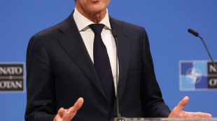 Nato, 'Rutte si riferiva a supporto logistico o assistenza tecnica'