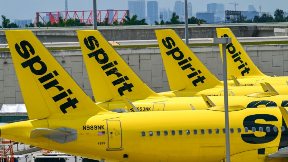 Spirit exit likely to lead to higher US airfares, experts say