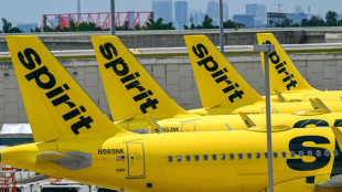 Spirit exit likely to lead to higher US airfares, experts say