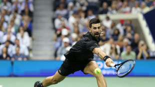 Starker Djokovic macht Halbfinalduell mit Alcaraz perfekt