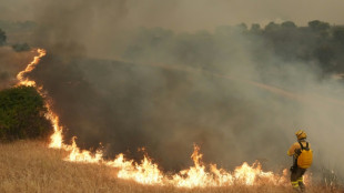 M&aacute;s de 160.000 evacuados por los incendios que arrasan Espa&ntilde;a y Francia