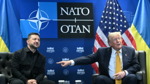 Zelensky elogia reuni&atilde;o com Trump para alcan&ccedil;ar mais apoio b&eacute;lico contra R&uacute;ssia