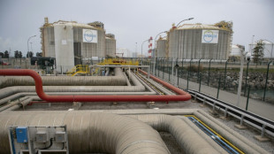 Espa&ntilde;a pretende reducir su consumo de gas hasta un 13,5% de aqu&iacute; a marzo