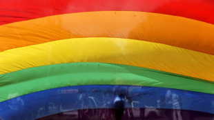 Zuversicht vor Berliner CSD trotz ernster Lage - Bundesrat hisst Regenbogenfahne