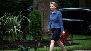 Reino Unido busca luchar mejor contra los denominados "cr&iacute;menes de honor"