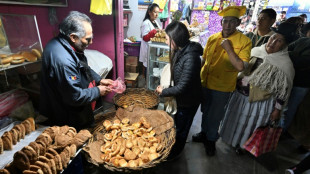 Pain, essence, dollars: la Bolivie &agrave; sec &agrave; l'approche de la pr&eacute;sidentielle