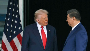 Seltene Erden gegen Sojabohnen: Annäherung von Trump und Xi in Handelsfragen