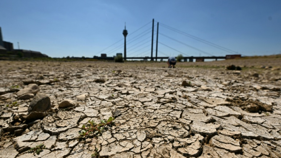 Niedrigwasser im Rhein: NRW-Ministerin warnt vor Folgen f&uuml;r die Wirtschaft