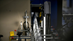 La inversora brasile&ntilde;a BWGI completa su opa sobre la empresa francesa Verallia