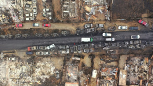 Incendies au Chili: au moins 64 morts, "plus grande trag&eacute;die" depuis 2010