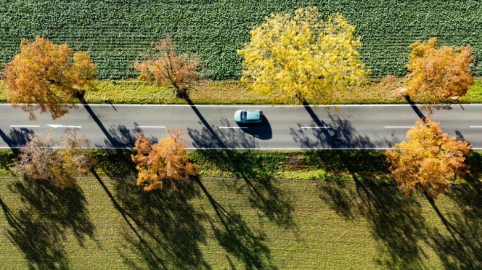 Autoversicherungen im September fast elf Prozent teurer als vor einem Jahr