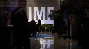 Fmi, 'da lodare progressi Italia in consolidamento finanze, ora accelerare'