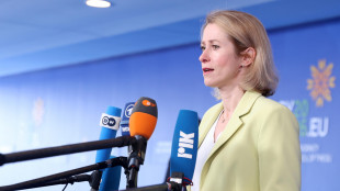 Kallas, 'dall'Ue oltre 20 milioni alla societ&agrave; civile in Israele e Palestina'