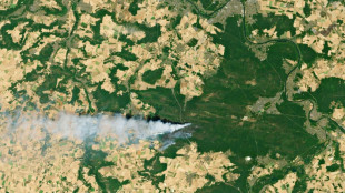 Wildfires advance in forest south of Paris