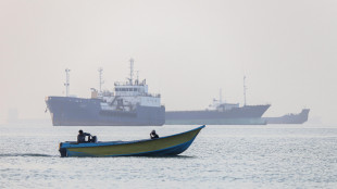 Agenzia Gb, una terza nave attaccata in 24 ore a Hormuz