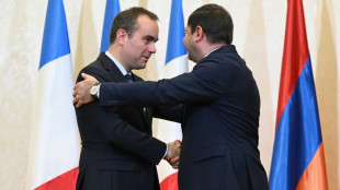 France, Armenia hail military ties amid Russia tensions 