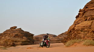 El espa&ntilde;ol Tosha Schareina repite triunfo y lidera el Dakar en motos