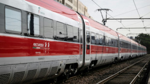 La concurrence ferroviaire "tient ses promesses", b&eacute;mol sur la transparence (concurrents de la SNCF)