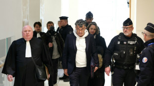 Condamné pour violences conjugales, Plaza accuse le parquet d'avoir "truqué" son procès et attaque l'Etat