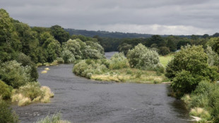 English rivers in 'desperate' state: report