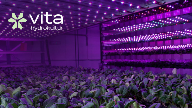 Vita Hydrokultur Opens &pound;1.5m Series A Round to Scale Plant-Grown Skincare Ingredients