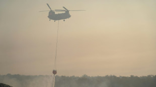Feu de forêt à Chypre, deux morts