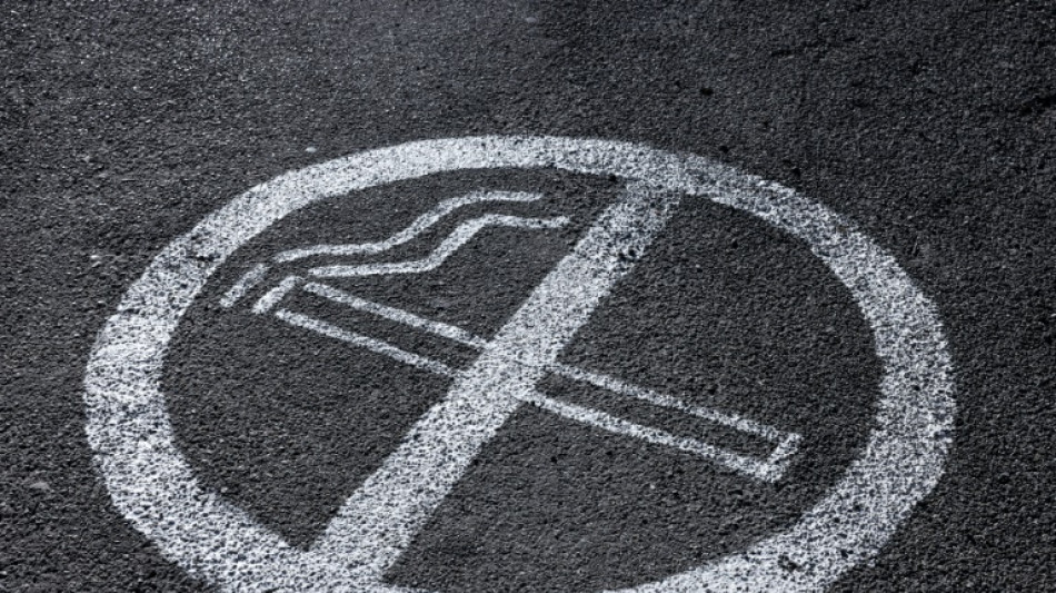 Journ&eacute;e mondiale sans tabac: &agrave; quand la g&eacute;n&eacute;ralisation des espaces sans tabac pr&eacute;vue en France ?