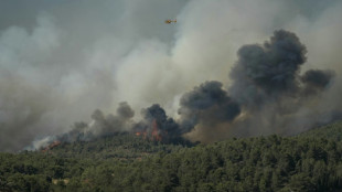 eIncendie dans l'Aude: 10.000 hectares parcourus, un blessé grave, axe France-Espagne fermée