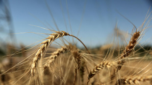 Esposto dei consumatori all'Antitrust contro pasta Divella