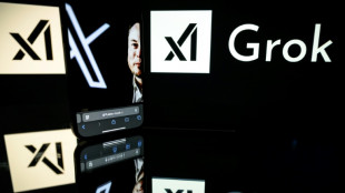 Un "génocide blanc" en Afrique du Sud? Grok trompé par une "modification non autorisée", selon xAI