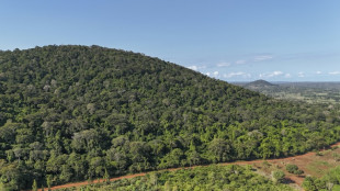Au Kenya, cinq petits villages et une forêt au cœur de la course mondiale aux terres rares