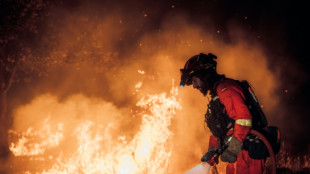 V&aacute;rios inc&ecirc;ndios cercam Madri e obrigam a evacuar milhares de pessoas na Fran&ccedil;a e na Espanha