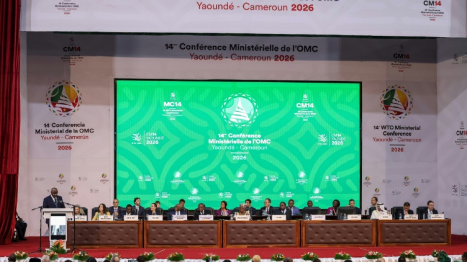 L'OMC s'achemine vers un accord a minima sur sa r&eacute;forme