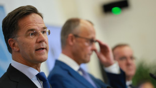 Rutte, 'Putin sempre pi&ugrave; disperato ma alleati devono sostenere Kiev'