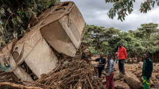 Kenya: des dizaines de touristes bloqués par des inondations dans la réserve de Maasai Mara