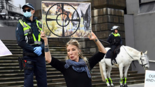 L'Australie va recommencer &agrave; abattre des chevaux sauvages par h&eacute;licopt&egrave;re