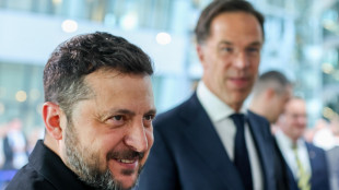 Zelensky, 'nell'incontro con Rutte focus su difese aeree e situazione al fronte'