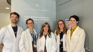 Tumore del sangue, scoperta proteina che causa metastasi