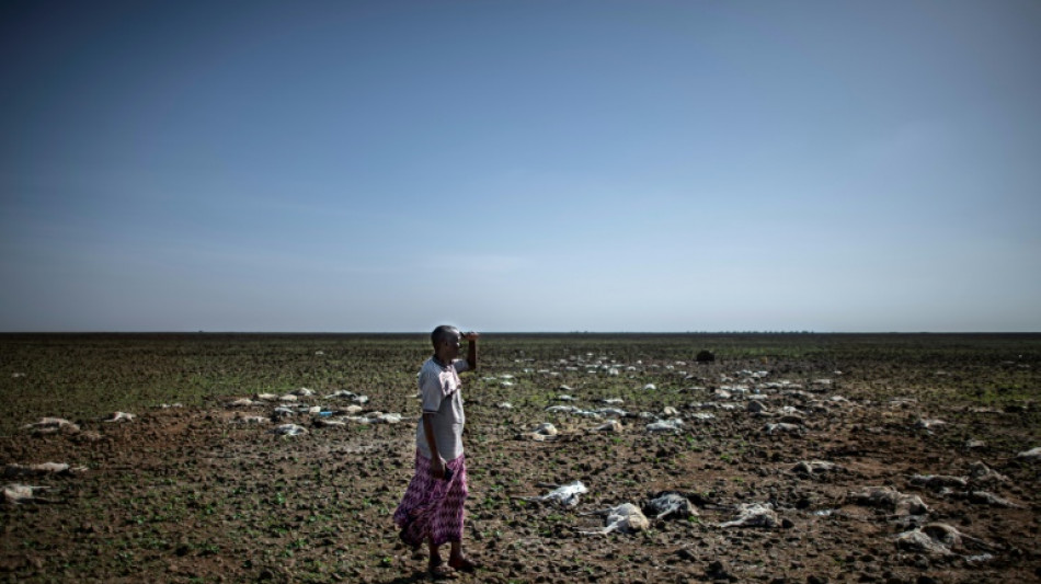 13 Millionen Menschen am Horn von Afrika von schwerem Hunger bedroht