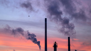 Deutsche Wirtschaft bef&uuml;rchtet wachsende Unsicherheit durch Trump