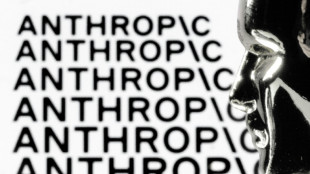 US govt says Anthropic AI an 'unacceptable risk' to military