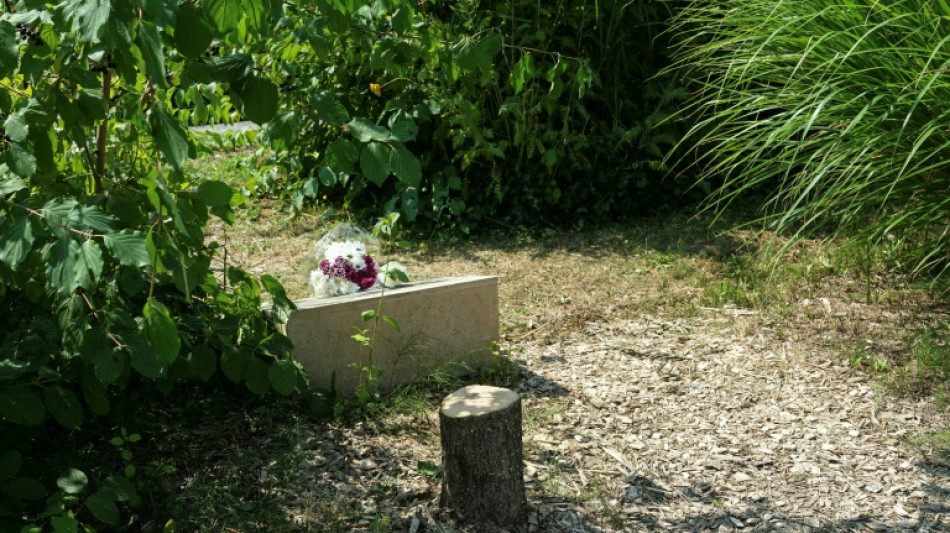 Gedenkbaum f&uuml;r ermordeten Juden in Frankreich abges&auml;gt