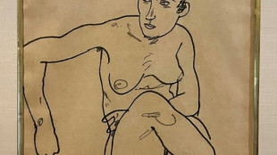 Justicia de Nueva York devuelve dibujo de Schiele robado por los nazis a coleccionista jud&iacute;o