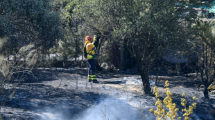 Sigue vivo el incendio del sur de Espa&ntilde;a que oblig&oacute; a evacuar a miles de turistas y ba&ntilde;istas