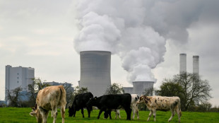 Organisationen fordern mehr Anstrengungen bei Klimaschutz zu Start von UN-Konferenz in Bonn